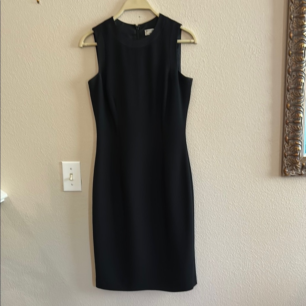 Black Sleeveless Sheath Knee Length Dress